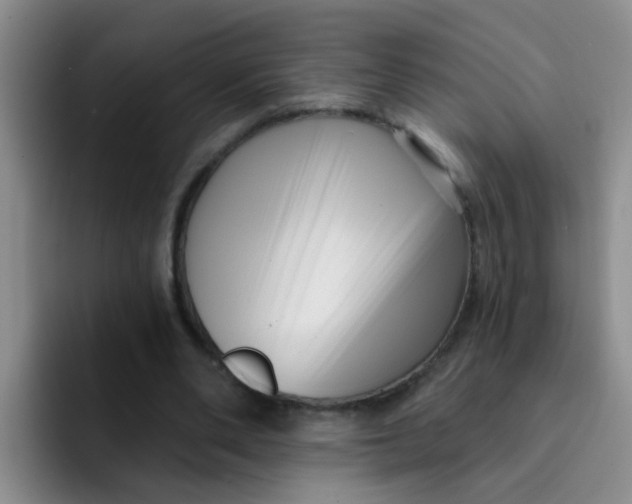 X0000091930486200709261917