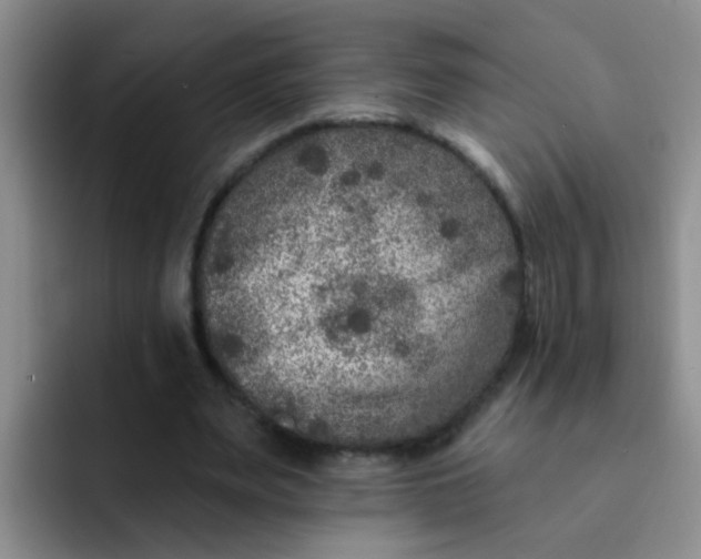 X0000091930487200709261917