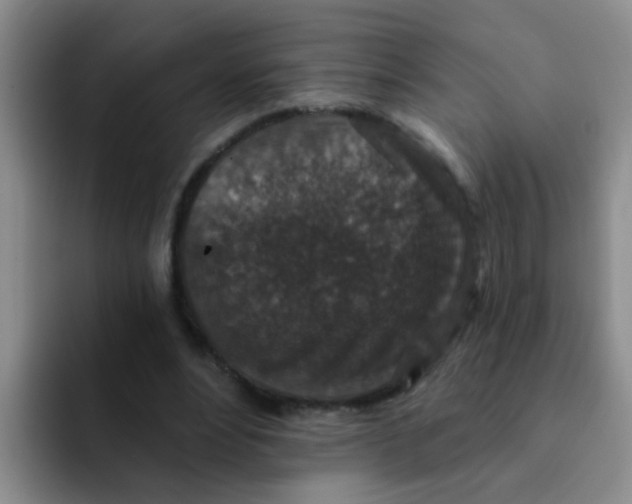 X0000091930488200709261917
