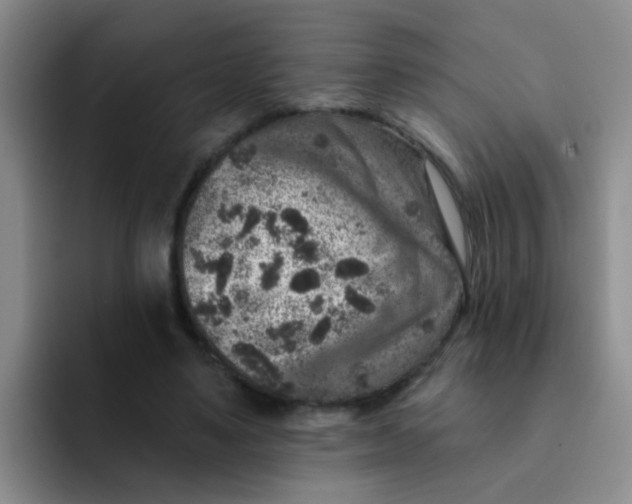 X0000091930491200709261917