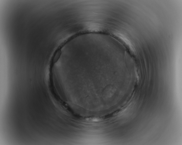 X0000091930492200709261917