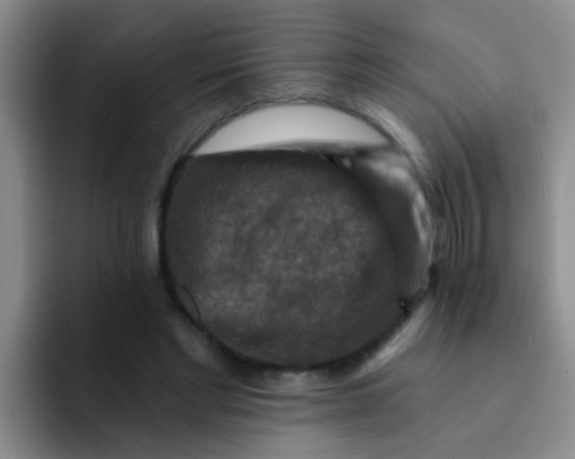 X0000091930493200709261917