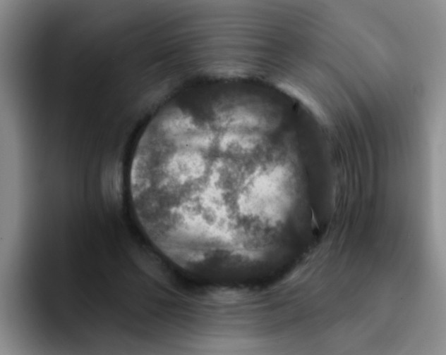 X0000091930494200709261917