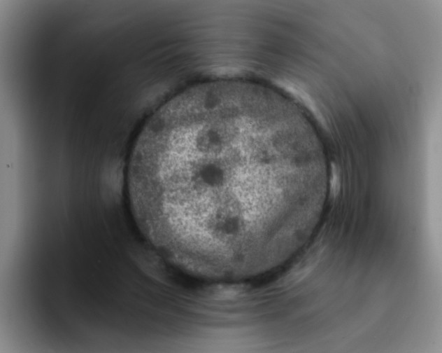 X0000091930495200709261917