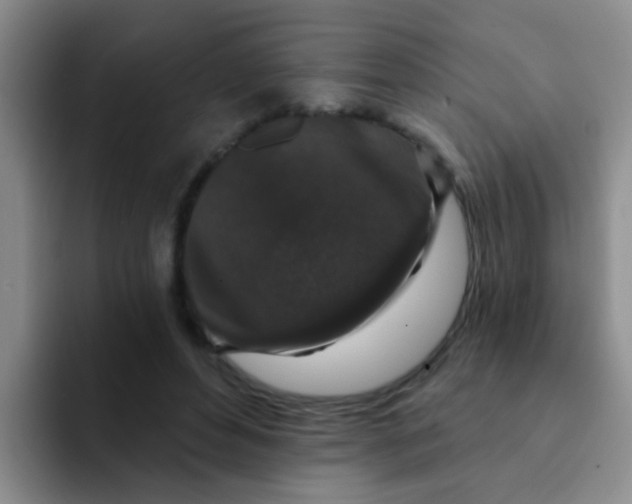 X0000091930496200709261917