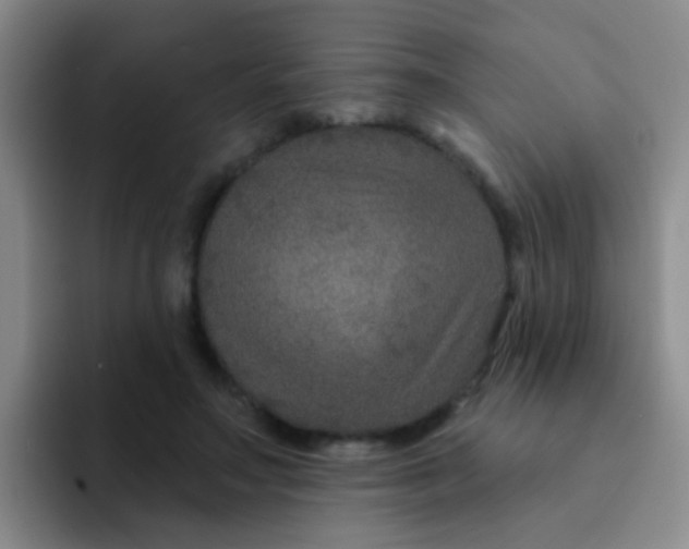 X0000091930499200709261916