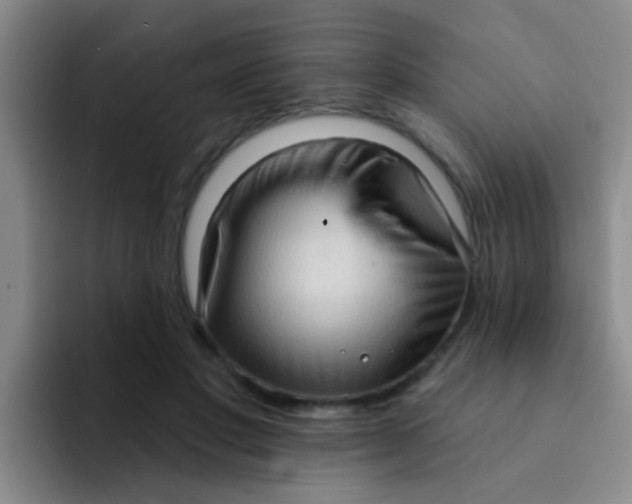 X0000091930501200709261916