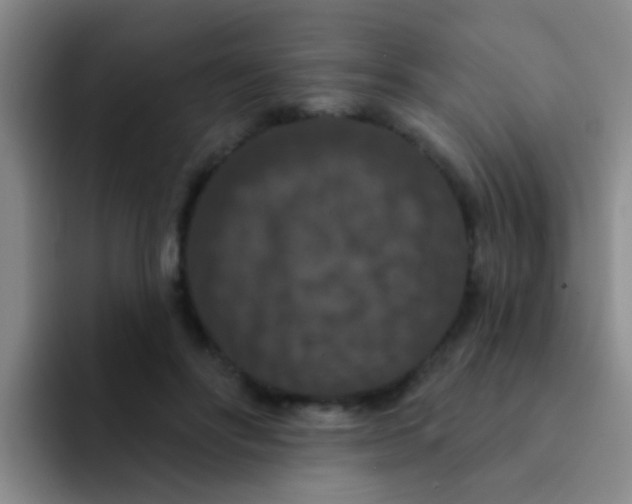 X0000091930502200709261916