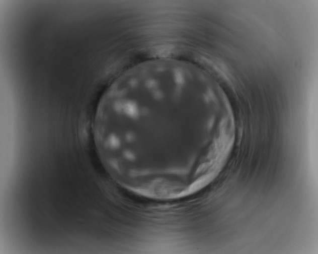 X0000091930503200709261916
