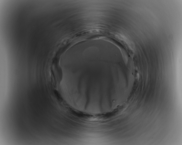 X0000091930504200709261916