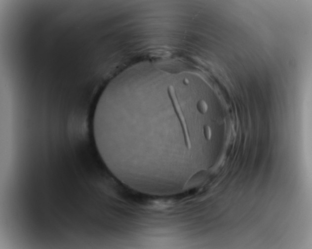 X0000091930508200709261916