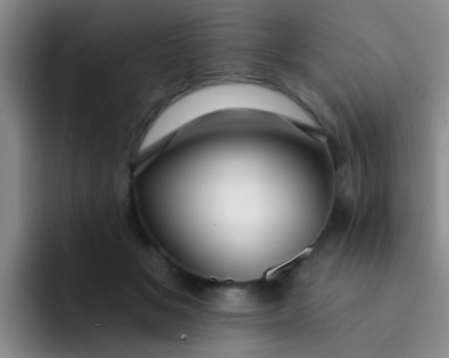 X0000091930509200709261916
