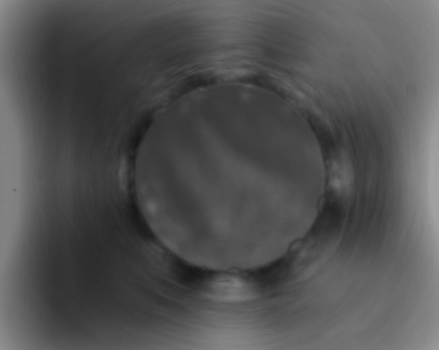 X0000091930519200709261916