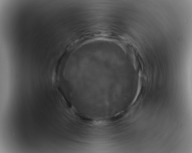 X0000091930520200709261916