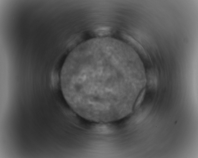 X0000091930523200709261916