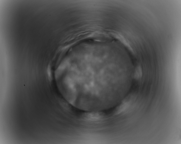 X0000091930524200709261916