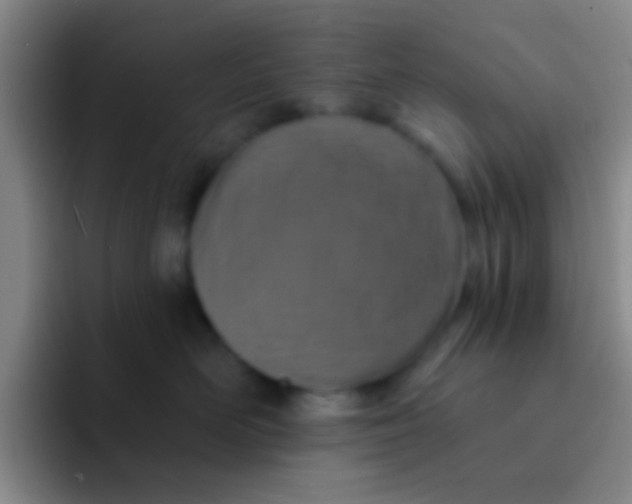 X0000091930526200709261916