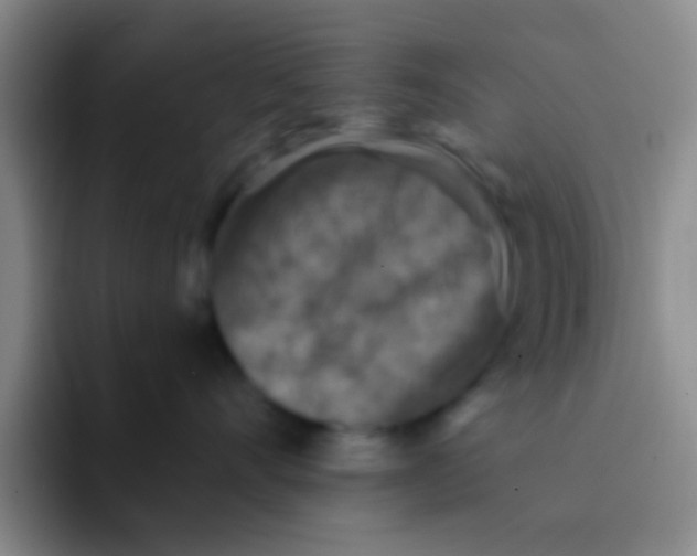 X0000091930528200709261916