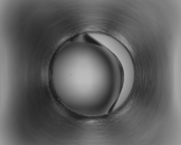 X0000091930530200709261916