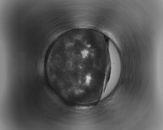 X0000091930531200709261916