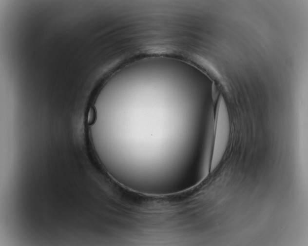 X0000091930535200709261916