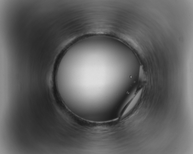 X0000091930536200709261916