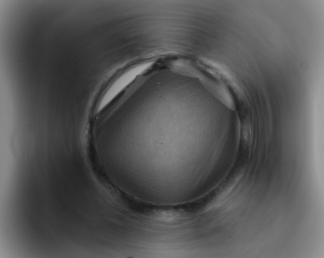 X0000091930540200709261916