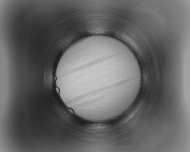X0000091930541200709261916