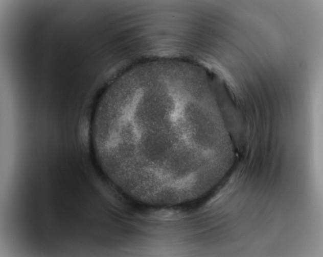 X0000091930542200709261916