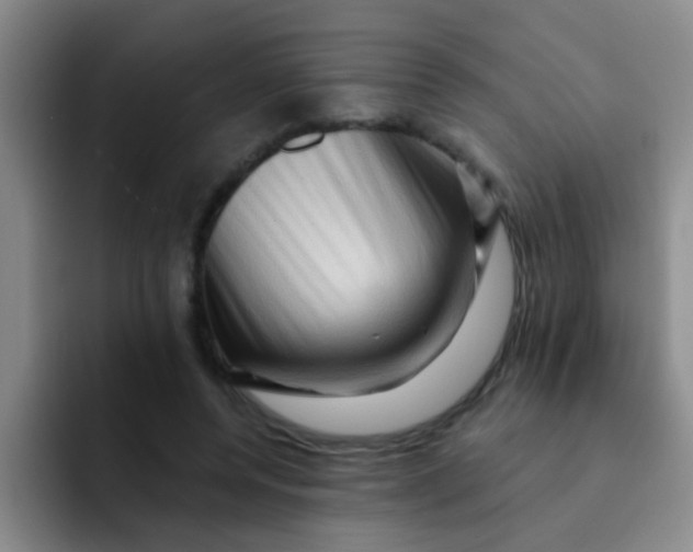 X0000091930544200709261916