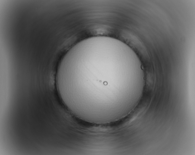 X0000091930545200709261916
