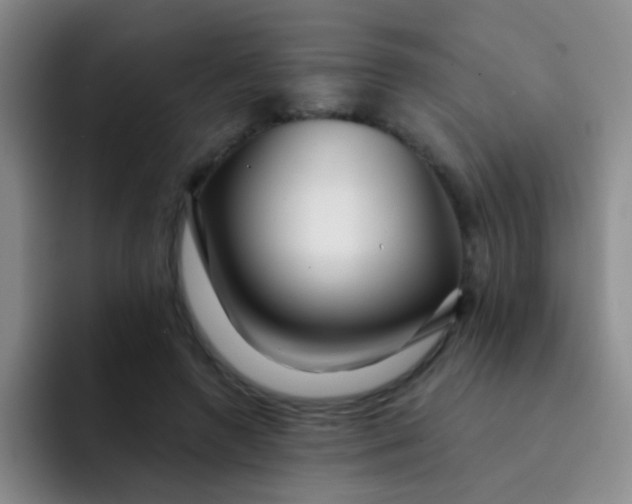 X0000091930546200709261916