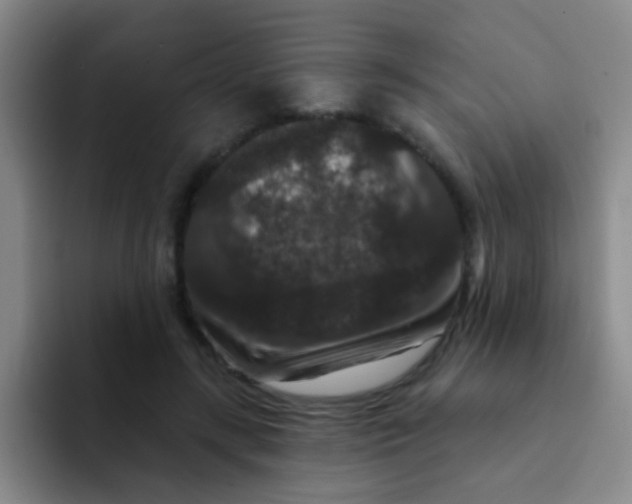 X0000091930547200709261916