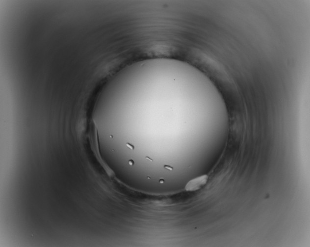 X0000091930548200709261916