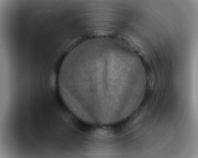 X0000091930550200709261916