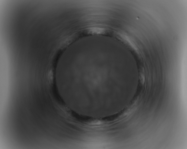 X0000091930551200709261916