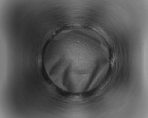 X0000091930552200709261916