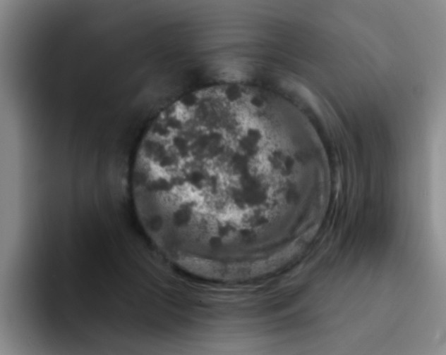 X0000091930553200709261916