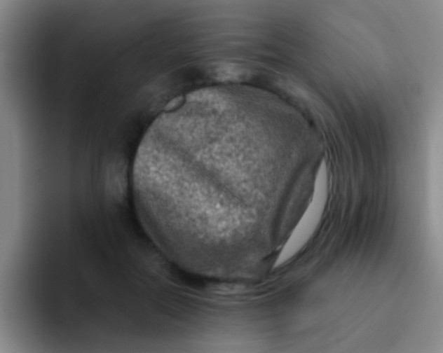 X0000091930554200709261916