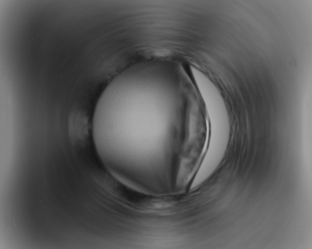 X0000091930555200709261916