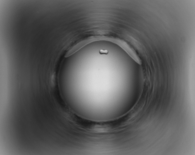 X0000091930556200709261916