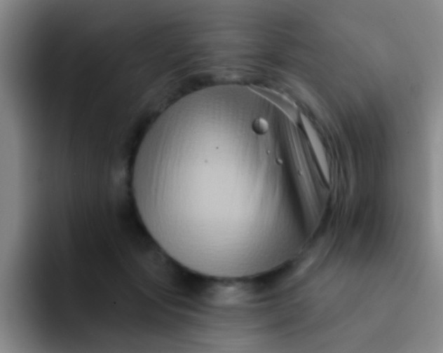 X0000091930557200709261916