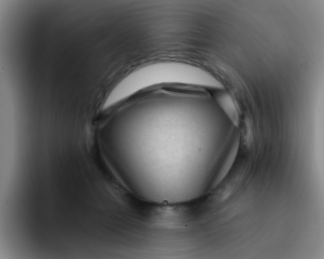X0000091930558200709261916