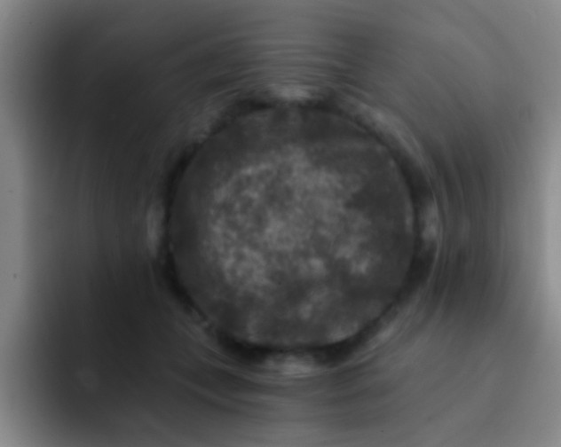 X0000091930559200709261916