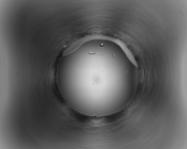 X0000091930560200709261916