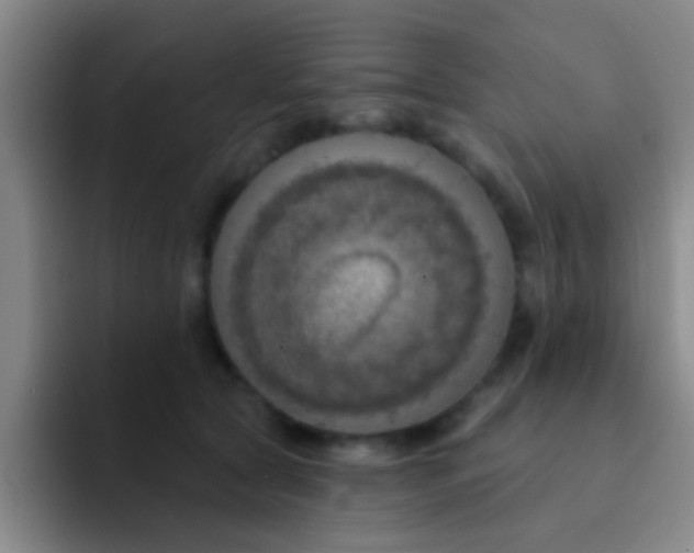 X0000091930561200709261916
