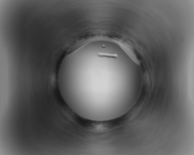 X0000091930564200709261916