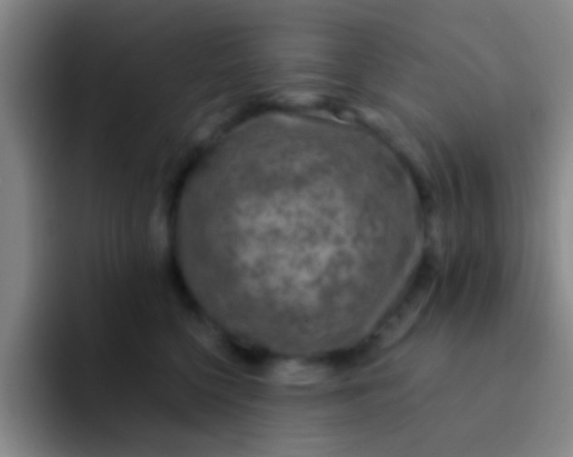 X0000091930568200709261916