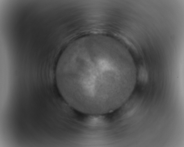 X0000091930569200709261916