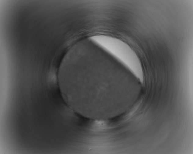 X0000091930573200709261916